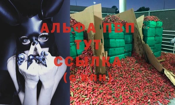 прущие грибы Белоозёрский